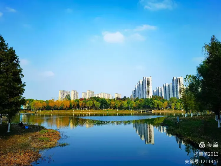 初冬的龙游河公园